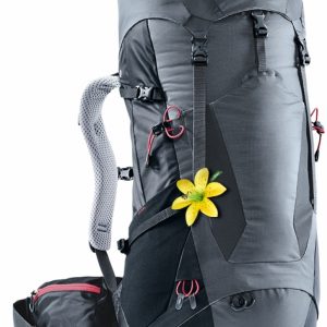 Рюкзак Deuter Futura Pro 38 Sl Graphite/black